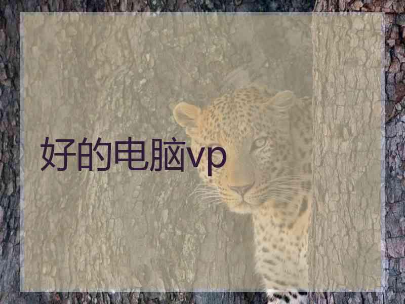 好的电脑vp