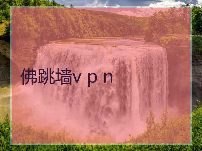 佛跳墙v p n