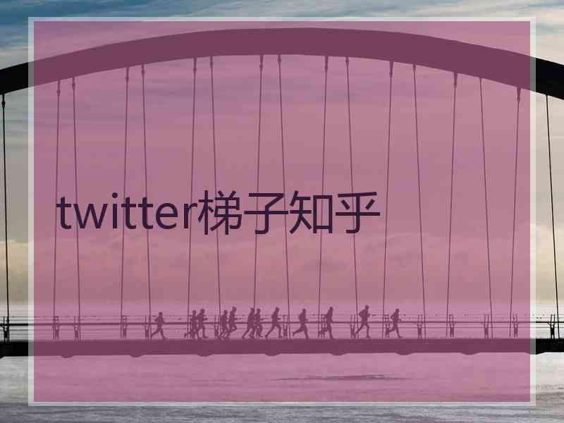 twitter梯子知乎