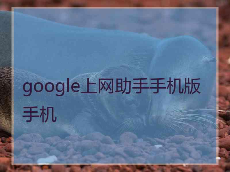 google上网助手手机版手机