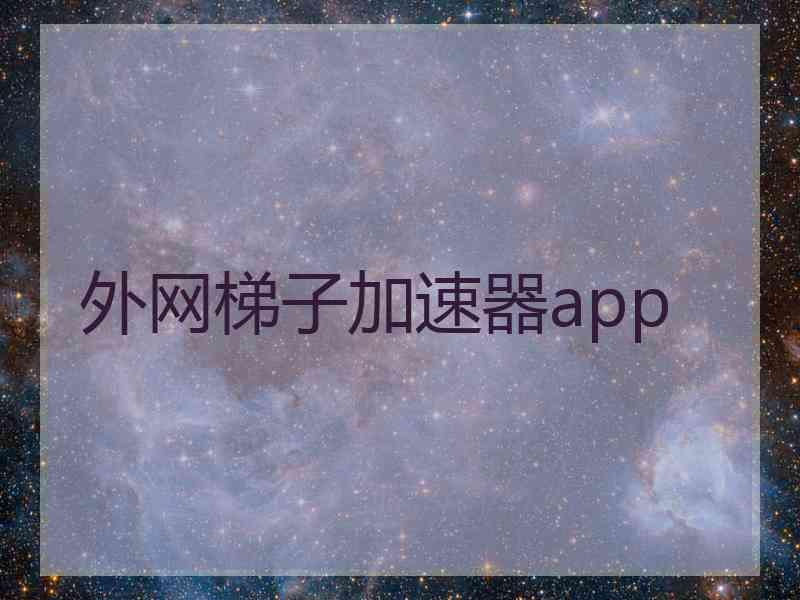 外网梯子加速器app