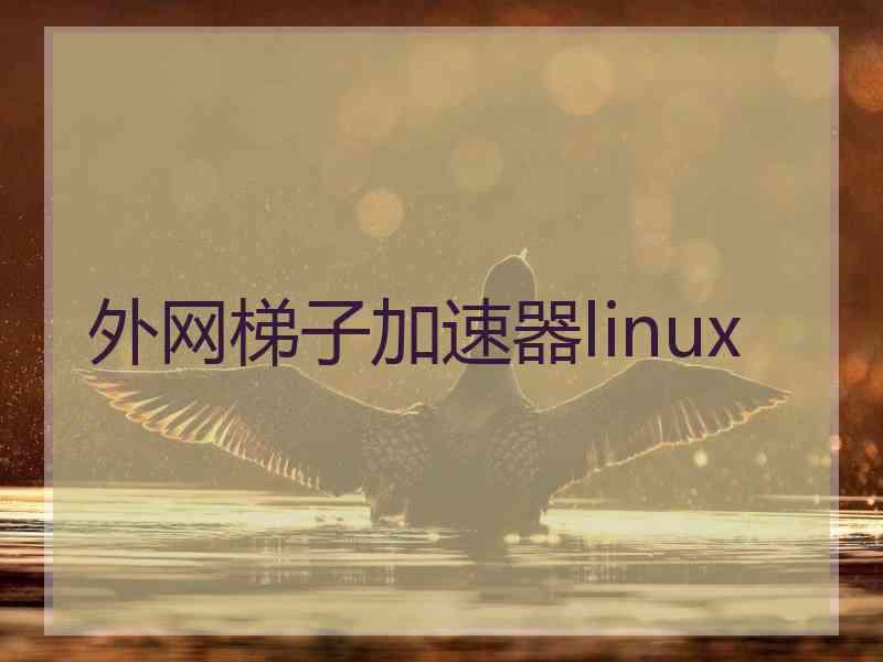 外网梯子加速器linux