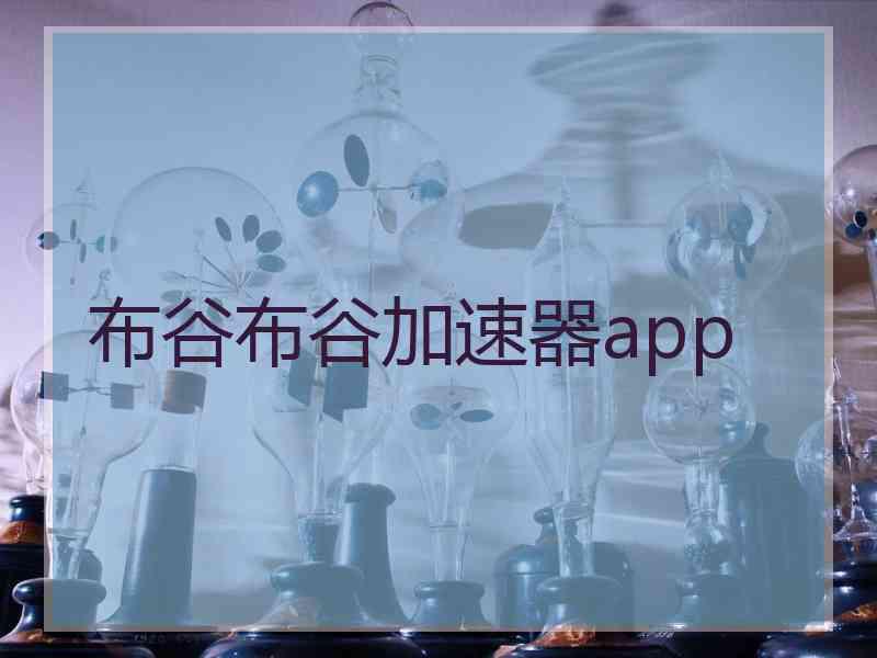 布谷布谷加速器app