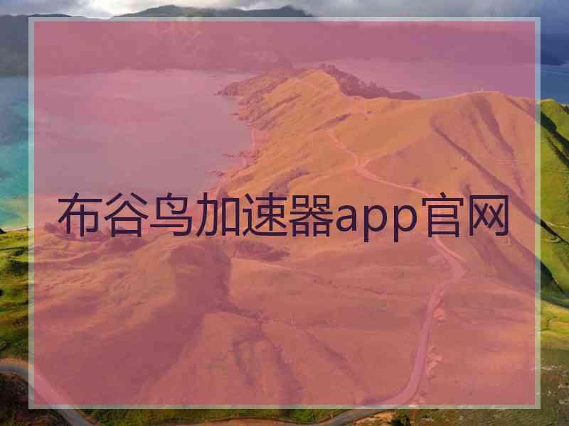 布谷鸟加速器app官网