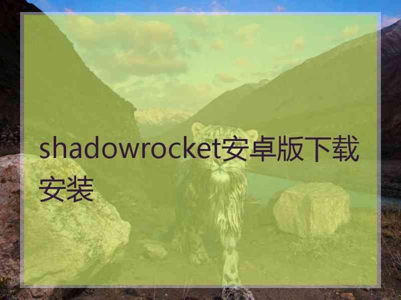 shadowrocket安卓版下载安装