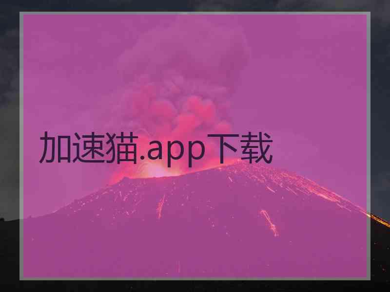 加速猫.app下载