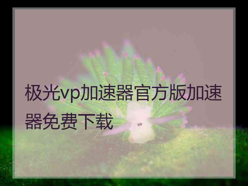 极光vp加速器官方版加速器免费下载