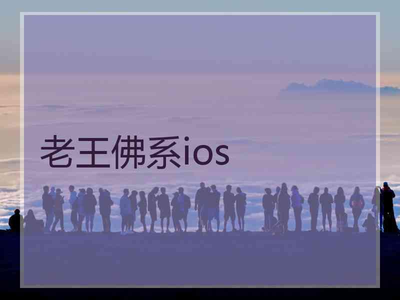 老王佛系ios