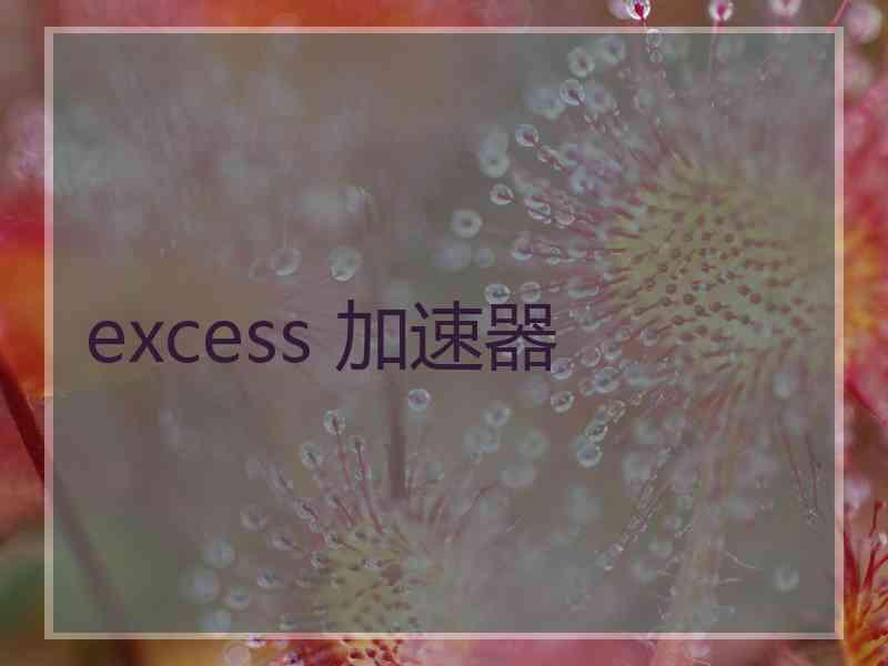 excess 加速器