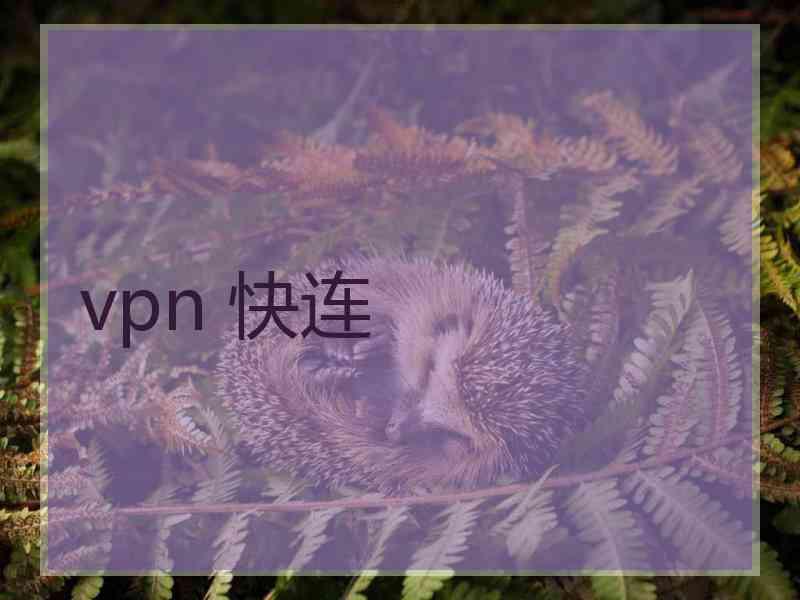 vpn 快连