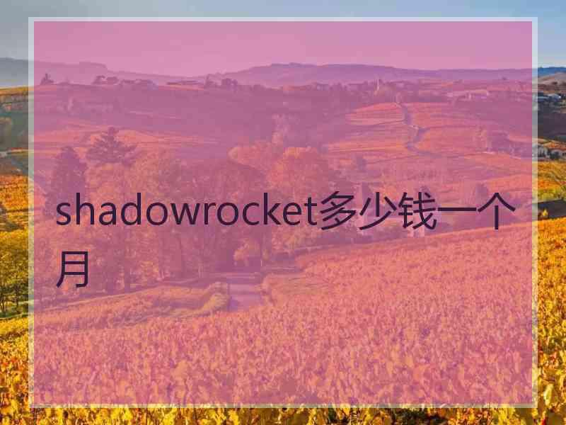 shadowrocket多少钱一个月