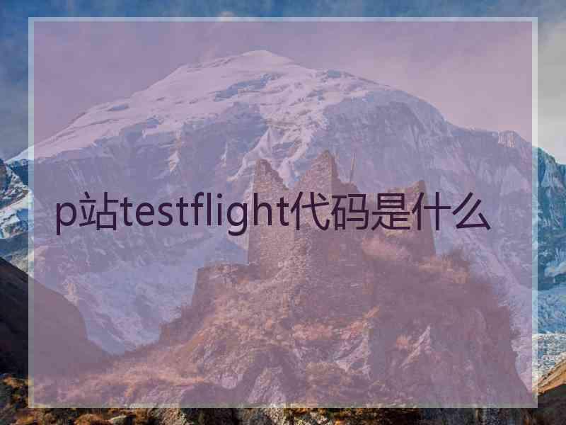 p站testflight代码是什么