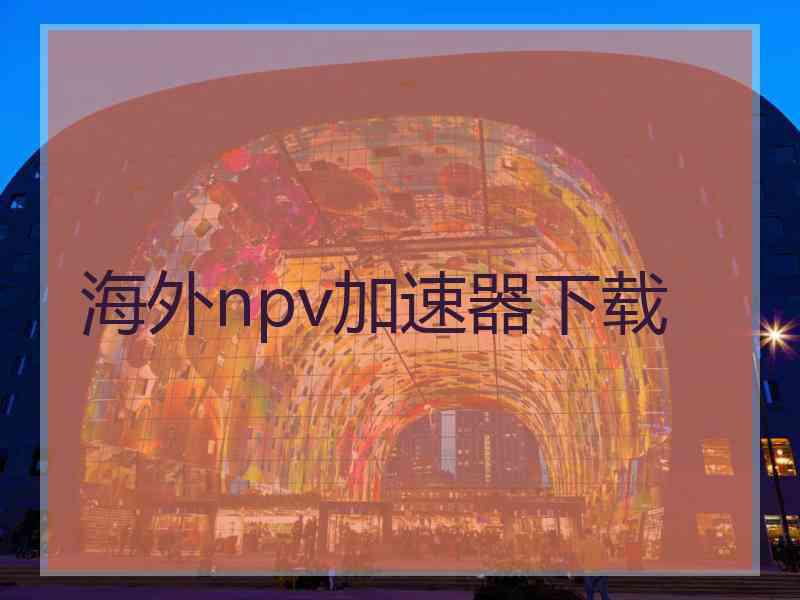 海外npv加速器下载