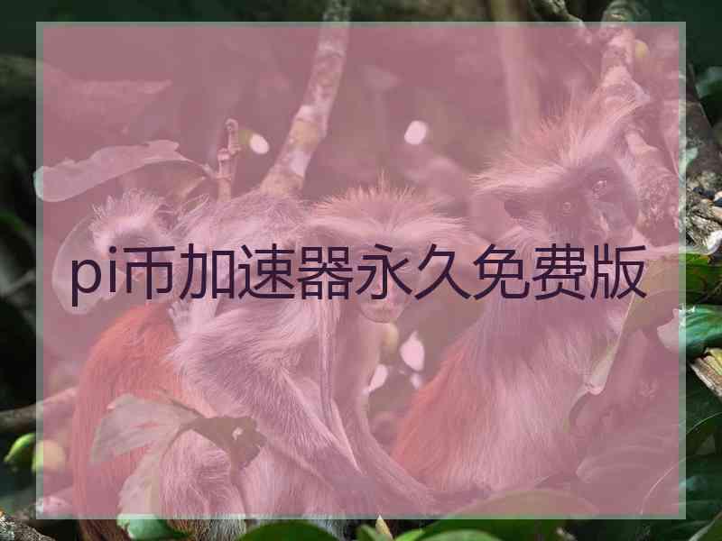 pi币加速器永久免费版