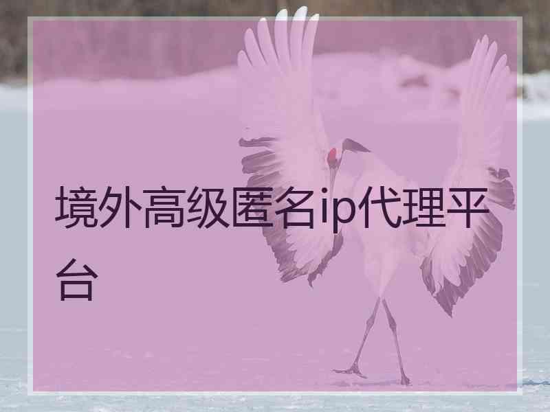 境外高级匿名ip代理平台