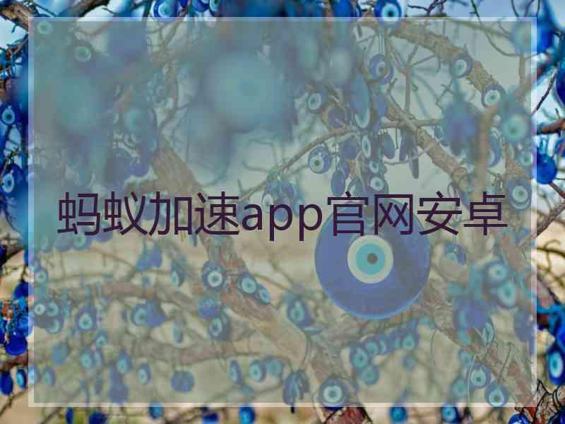 蚂蚁加速app官网安卓