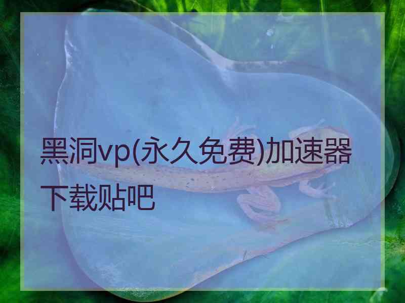 黑洞vp(永久免费)加速器下载贴吧