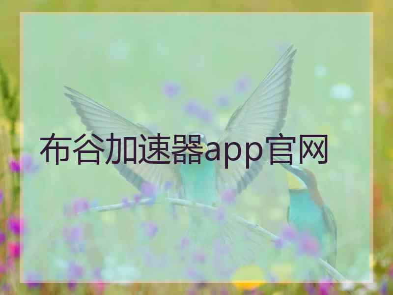 布谷加速器app官网