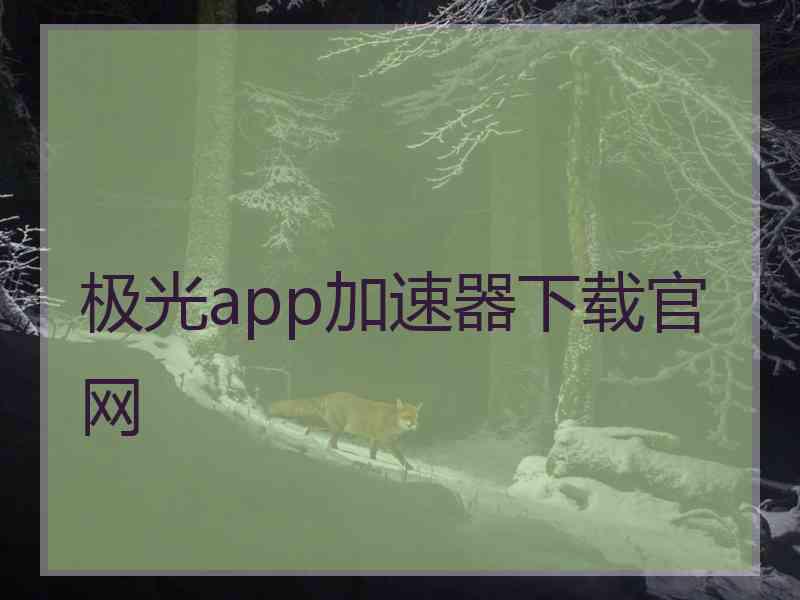 极光app加速器下载官网