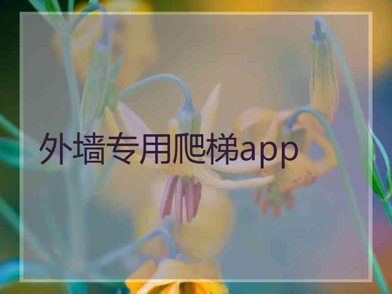 外墙专用爬梯app