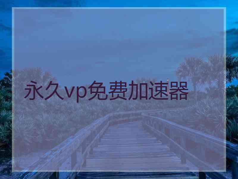 永久vp免费加速器