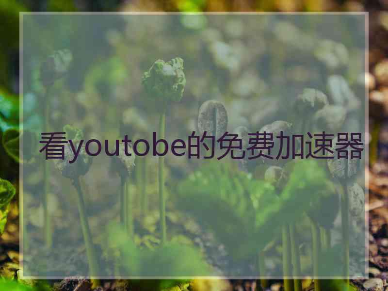 看youtobe的免费加速器