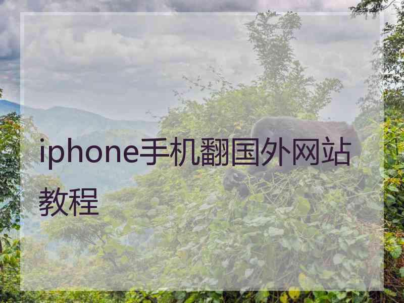 iphone手机翻国外网站教程