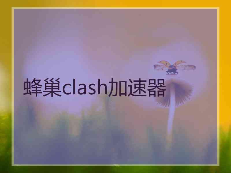 蜂巢clash加速器