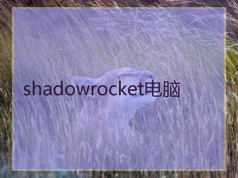 shadowrocket电脑