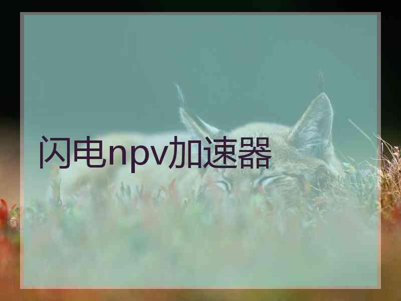 闪电npv加速器