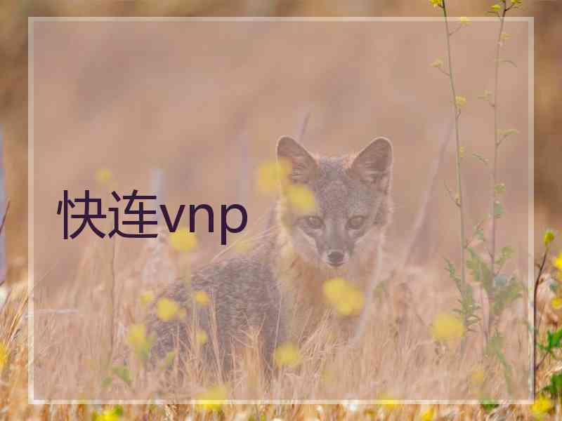 快连vnp