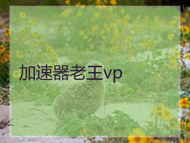 加速器老王vp