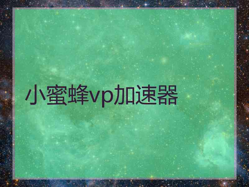 小蜜蜂vp加速器