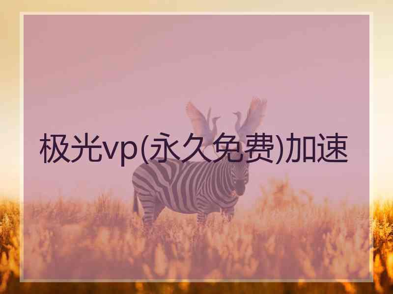 极光vp(永久免费)加速