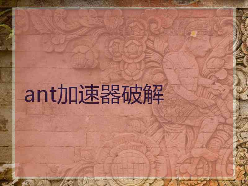 ant加速器破解