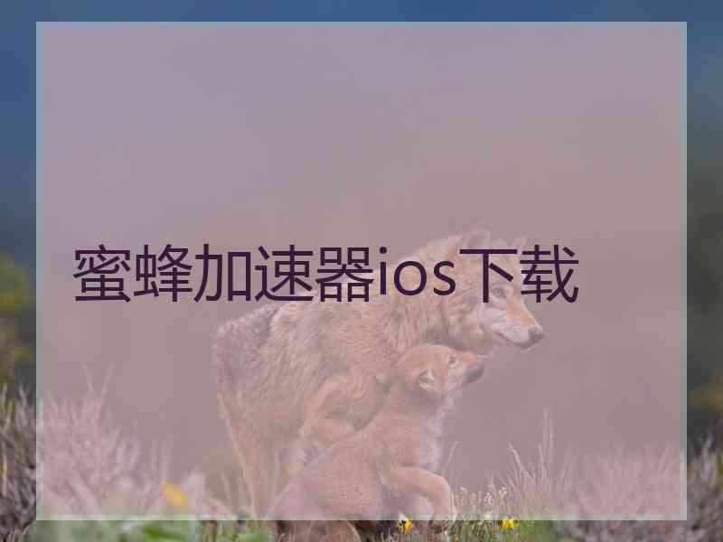 蜜蜂加速器ios下载