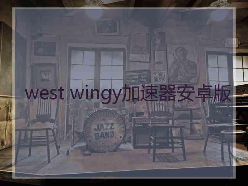 west wingy加速器安卓版