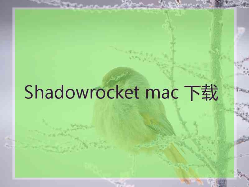 Shadowrocket mac 下载