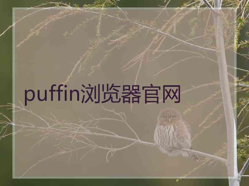 puffin浏览器官网