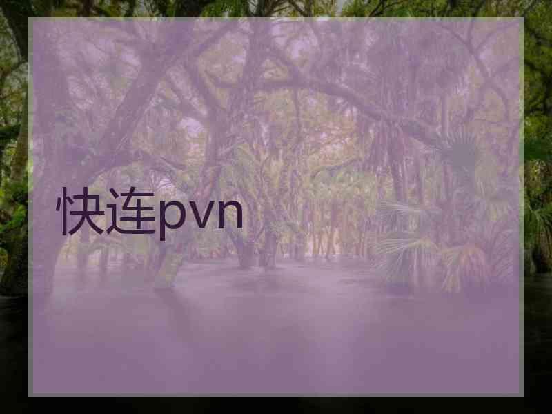 快连pvn