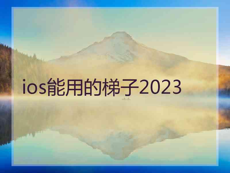 ios能用的梯子2023