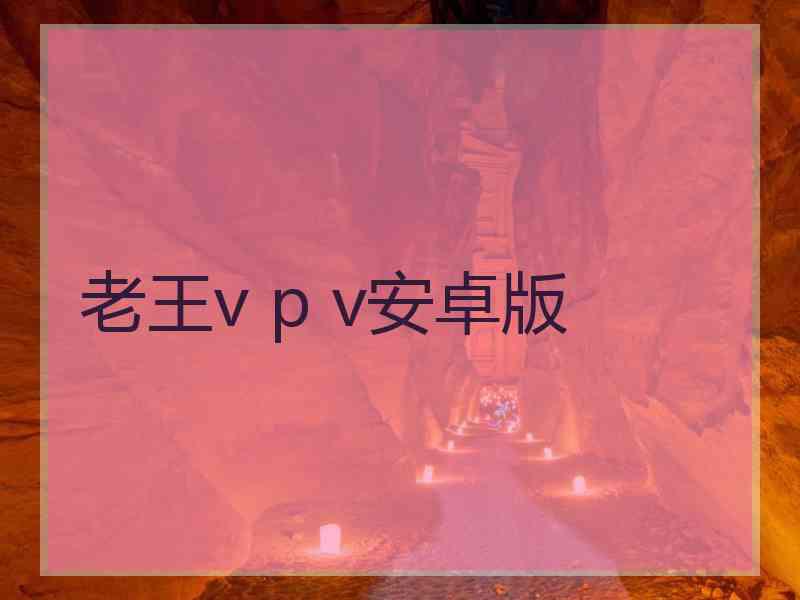 老王v p v安卓版