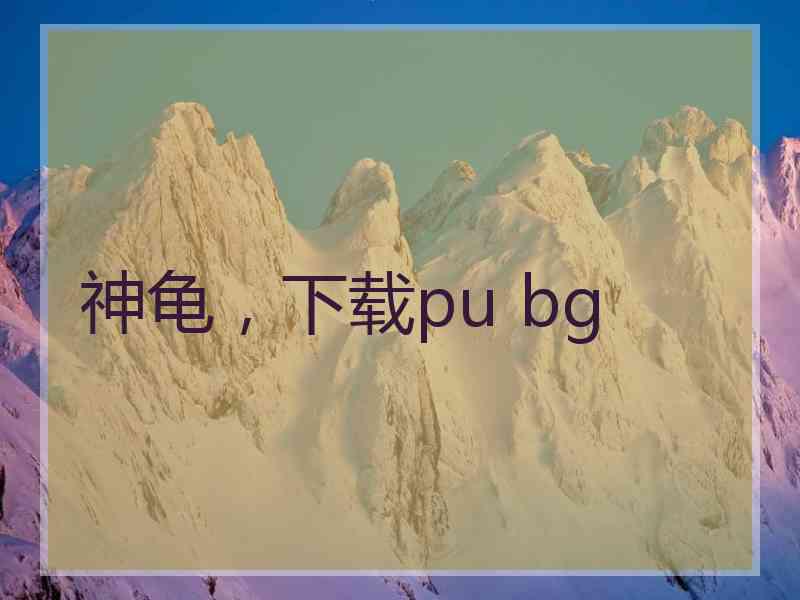 神龟，下载pu bg