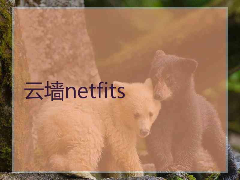 云墙netfits