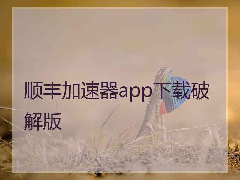 顺丰加速器app下载破解版