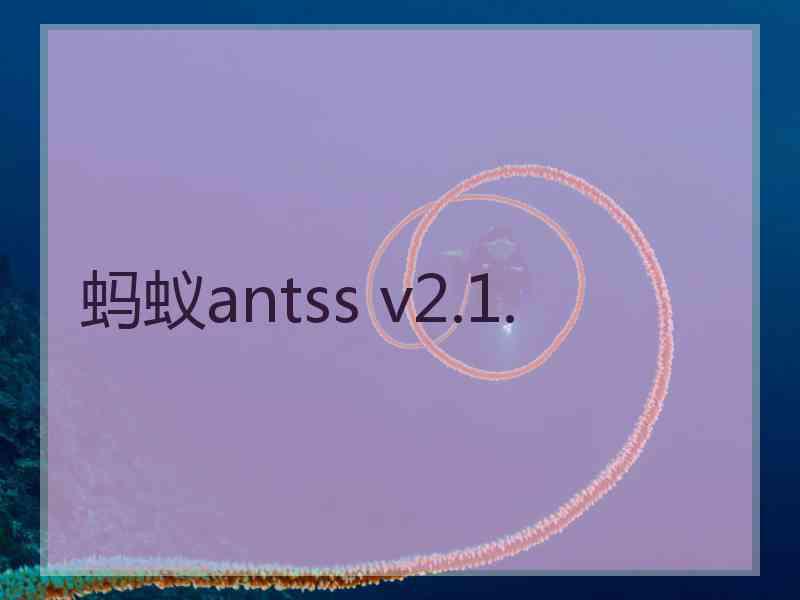 蚂蚁antss v2.1.