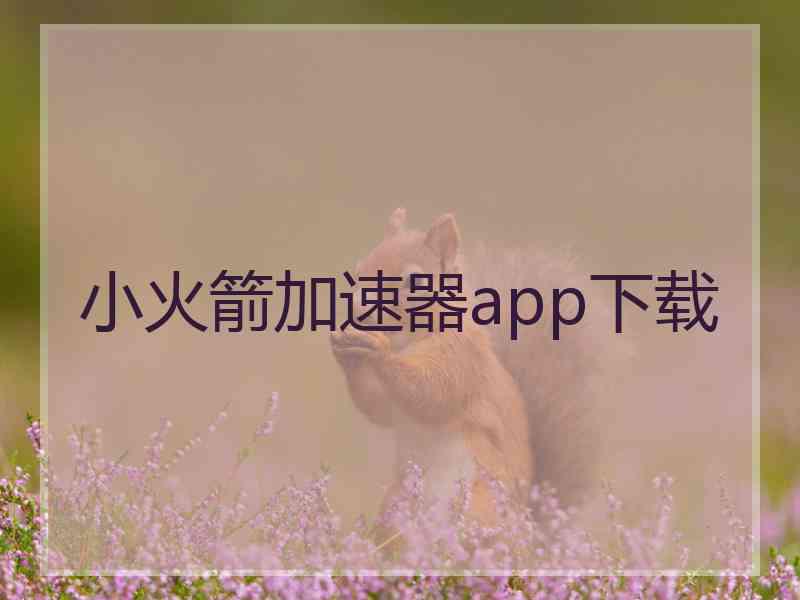 小火箭加速器app下载