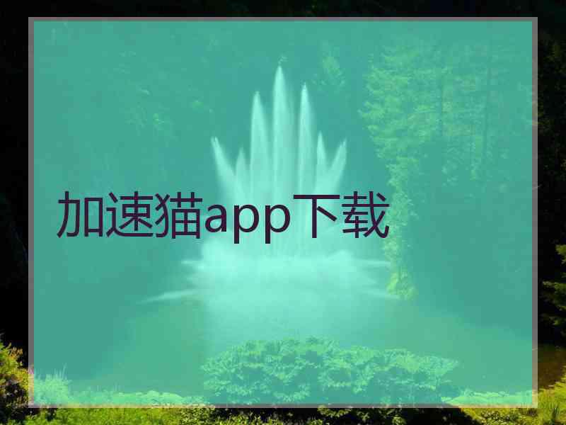 加速猫app下载