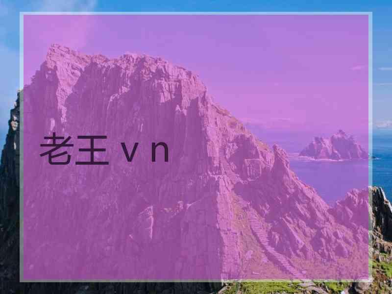 老王 v n