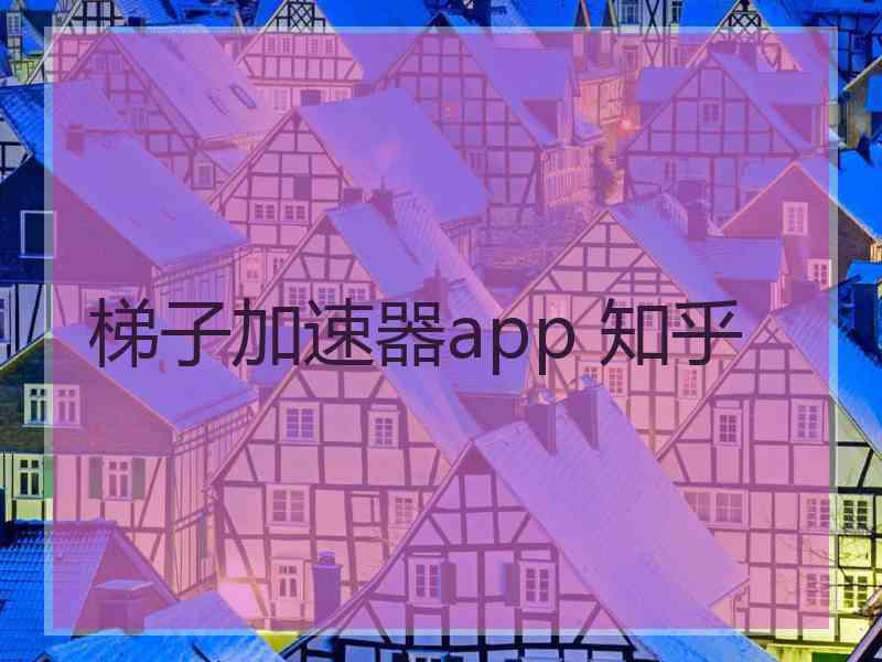 梯子加速器app 知乎